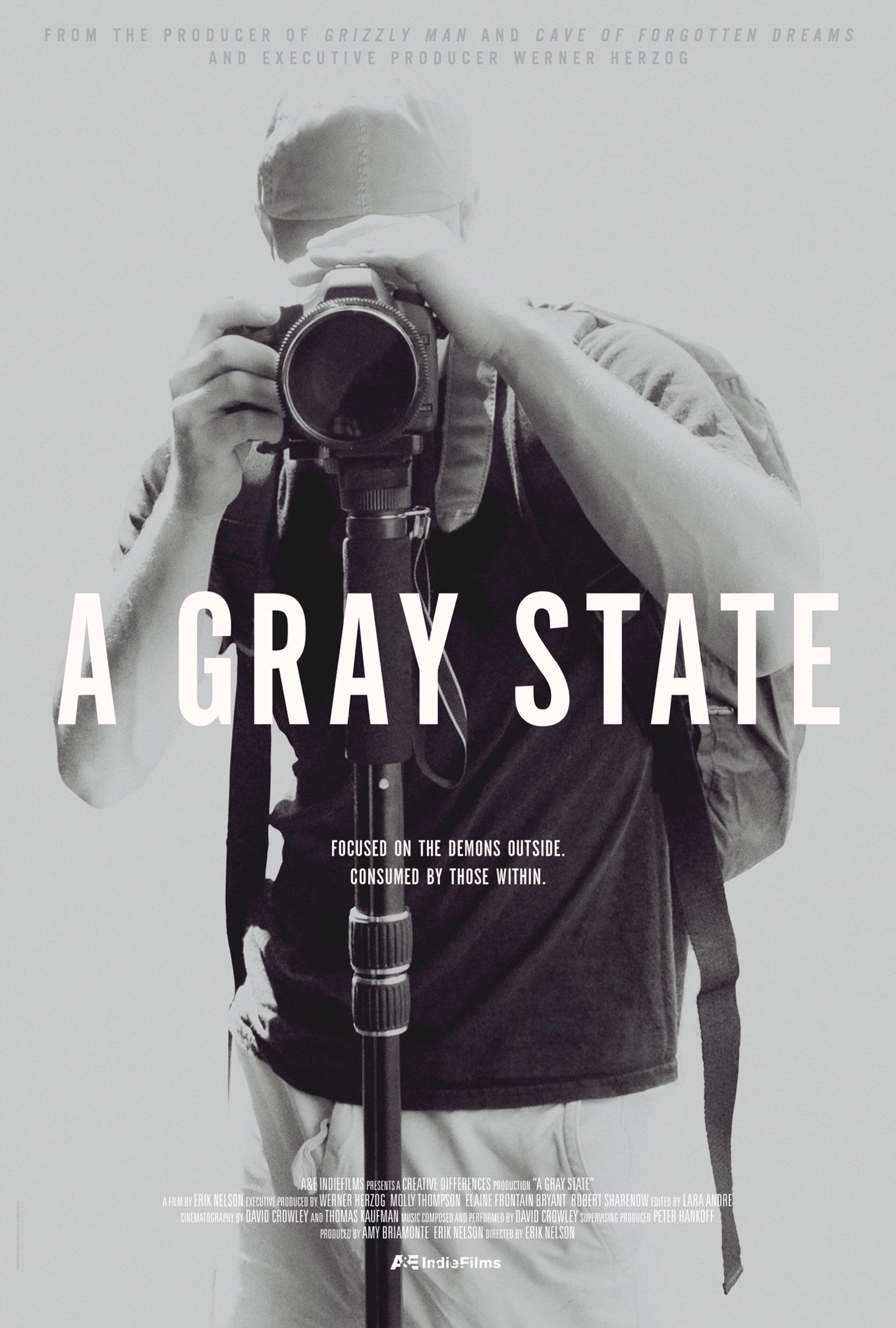 Постер фильма A Gray State 