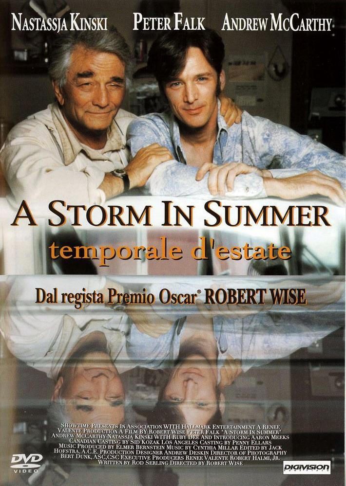 Постер фильма Летний шторм | Storm in Summer