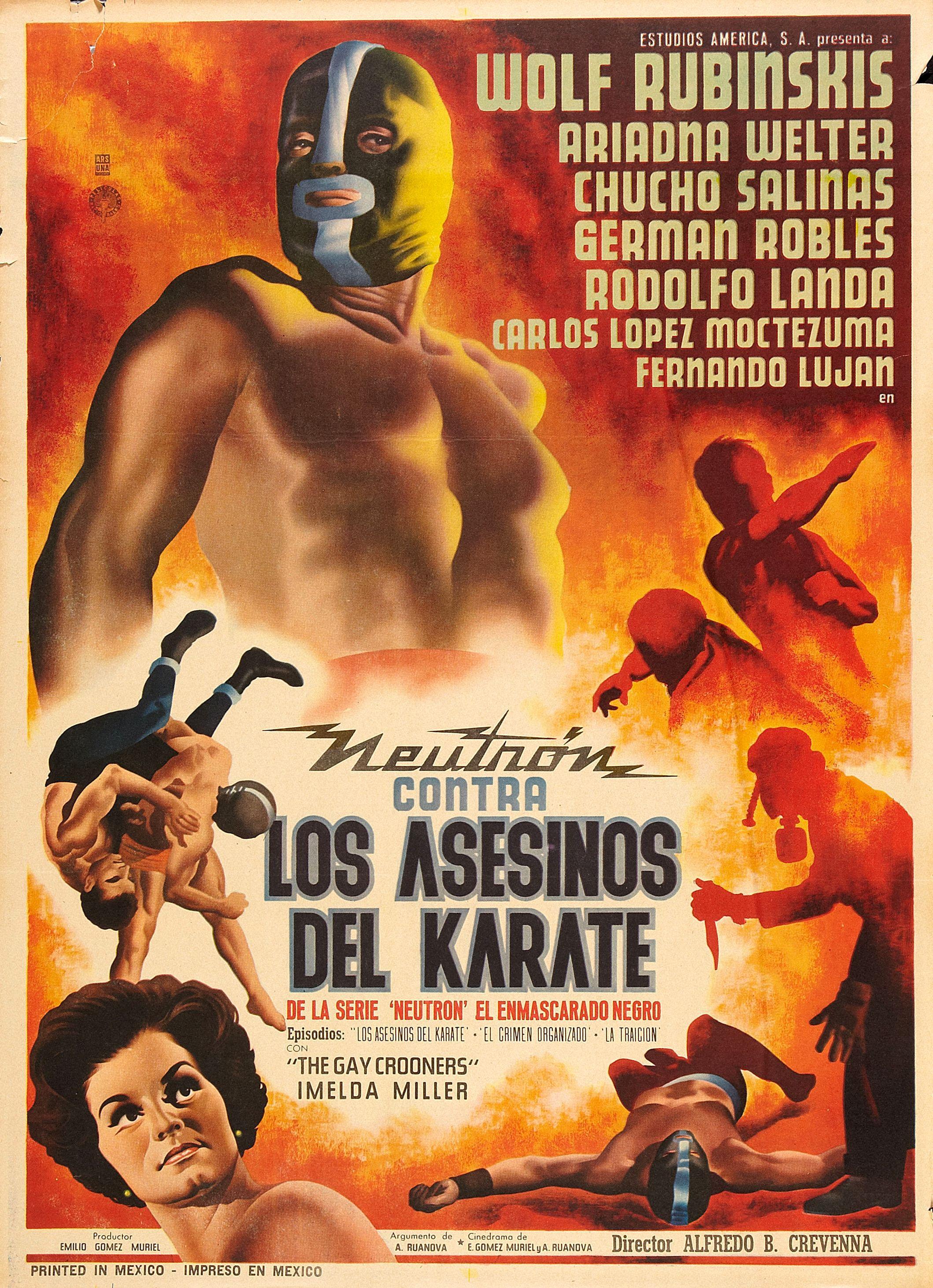 Постер фильма Los asesinos del karate