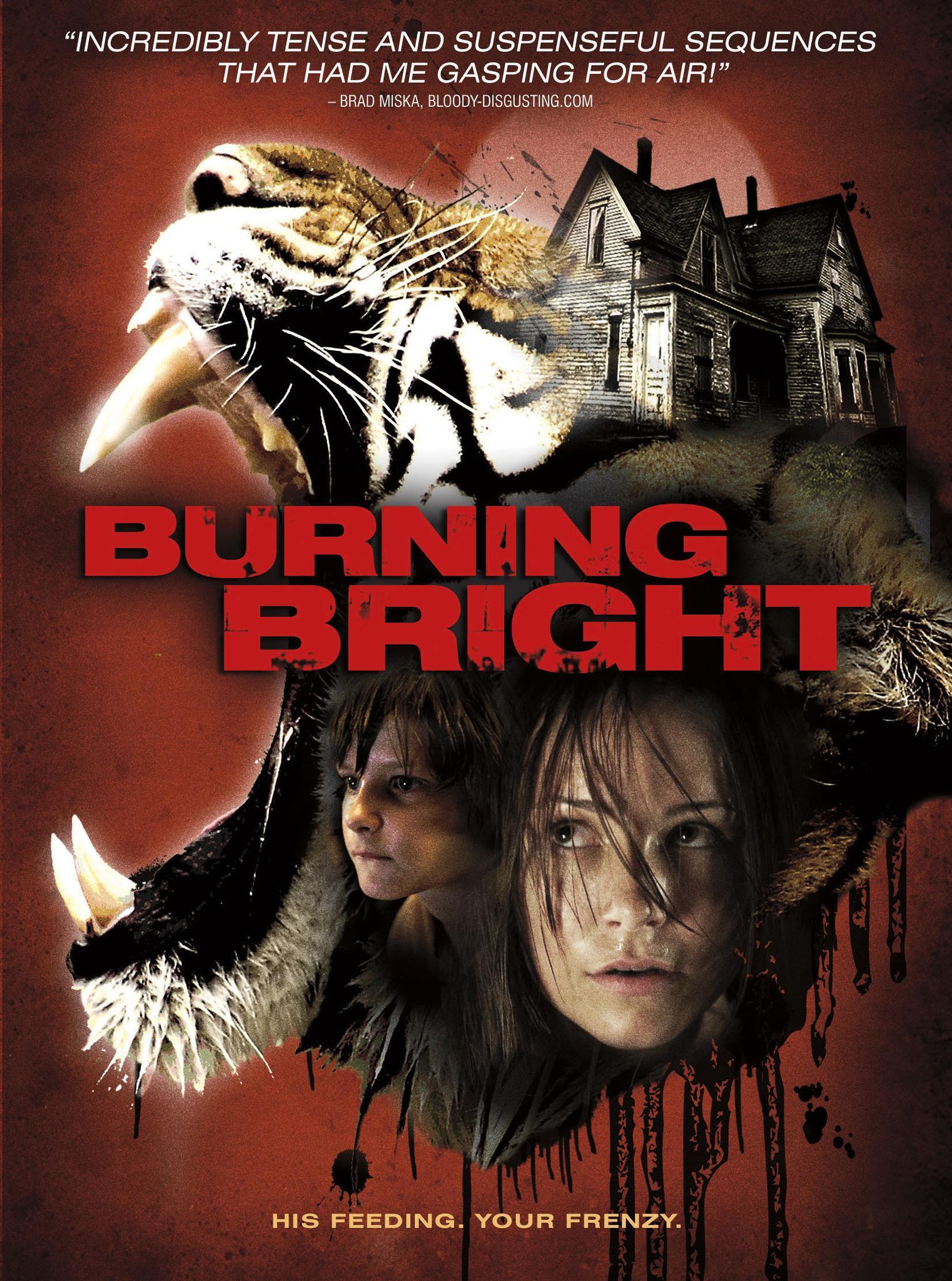 Постер фильма Во власти тигра | Burning Bright