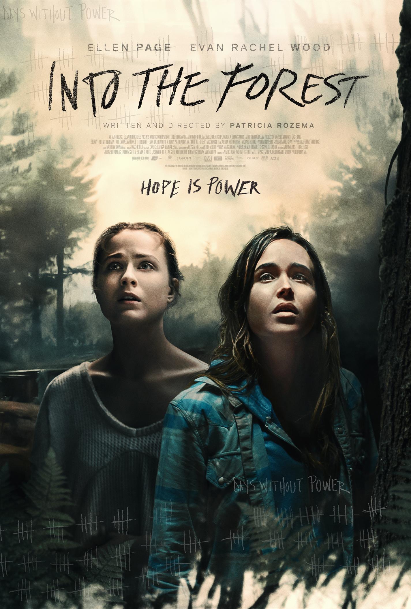 Постер фильма В лесу | Into the Forest