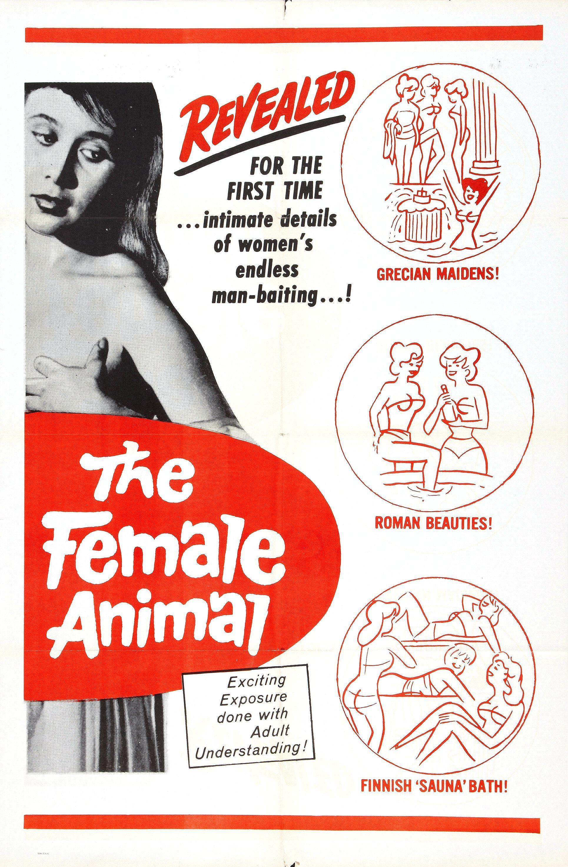 Постер фильма Female Animal