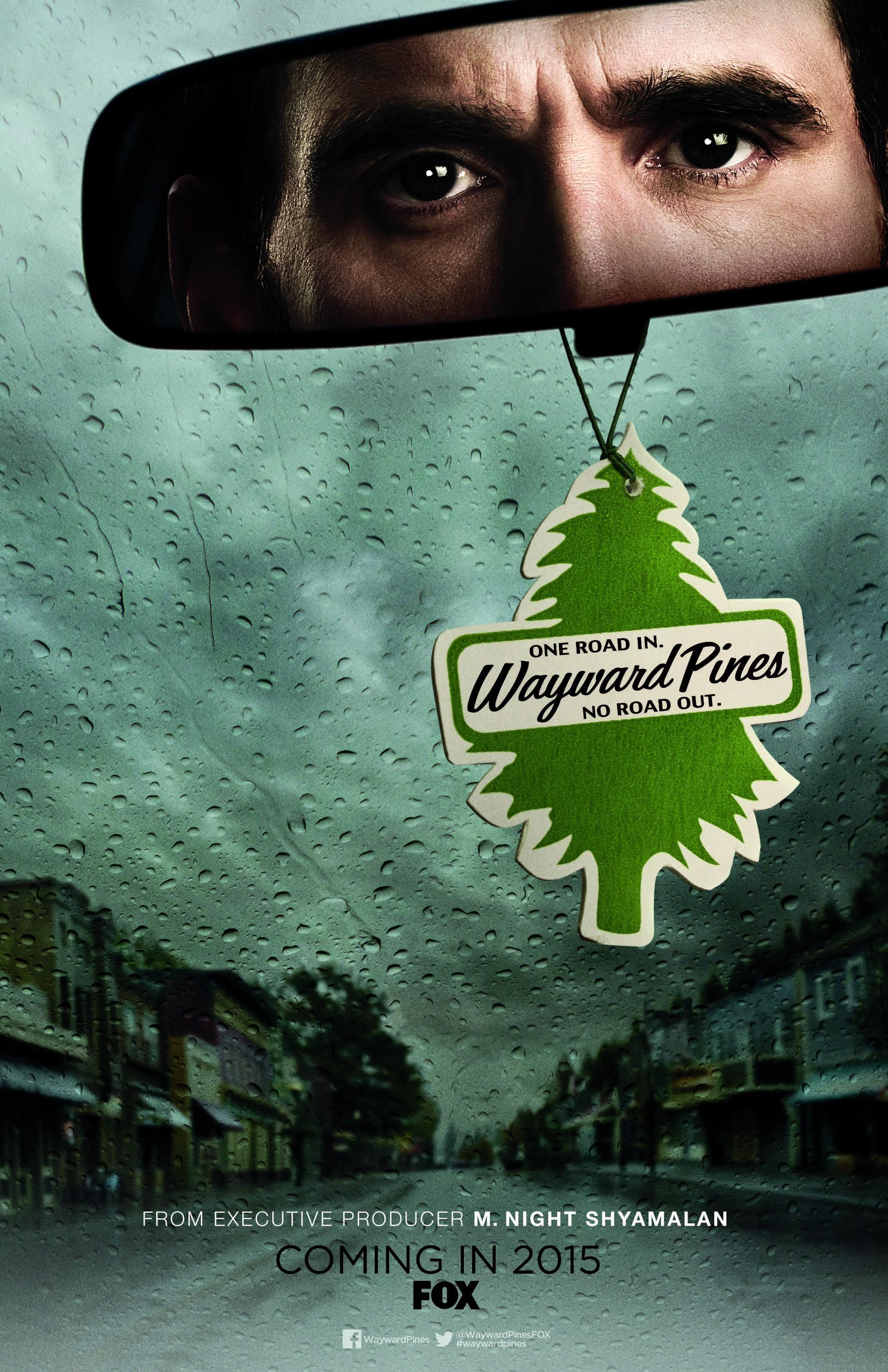 Постер фильма Сосны | Wayward Pines