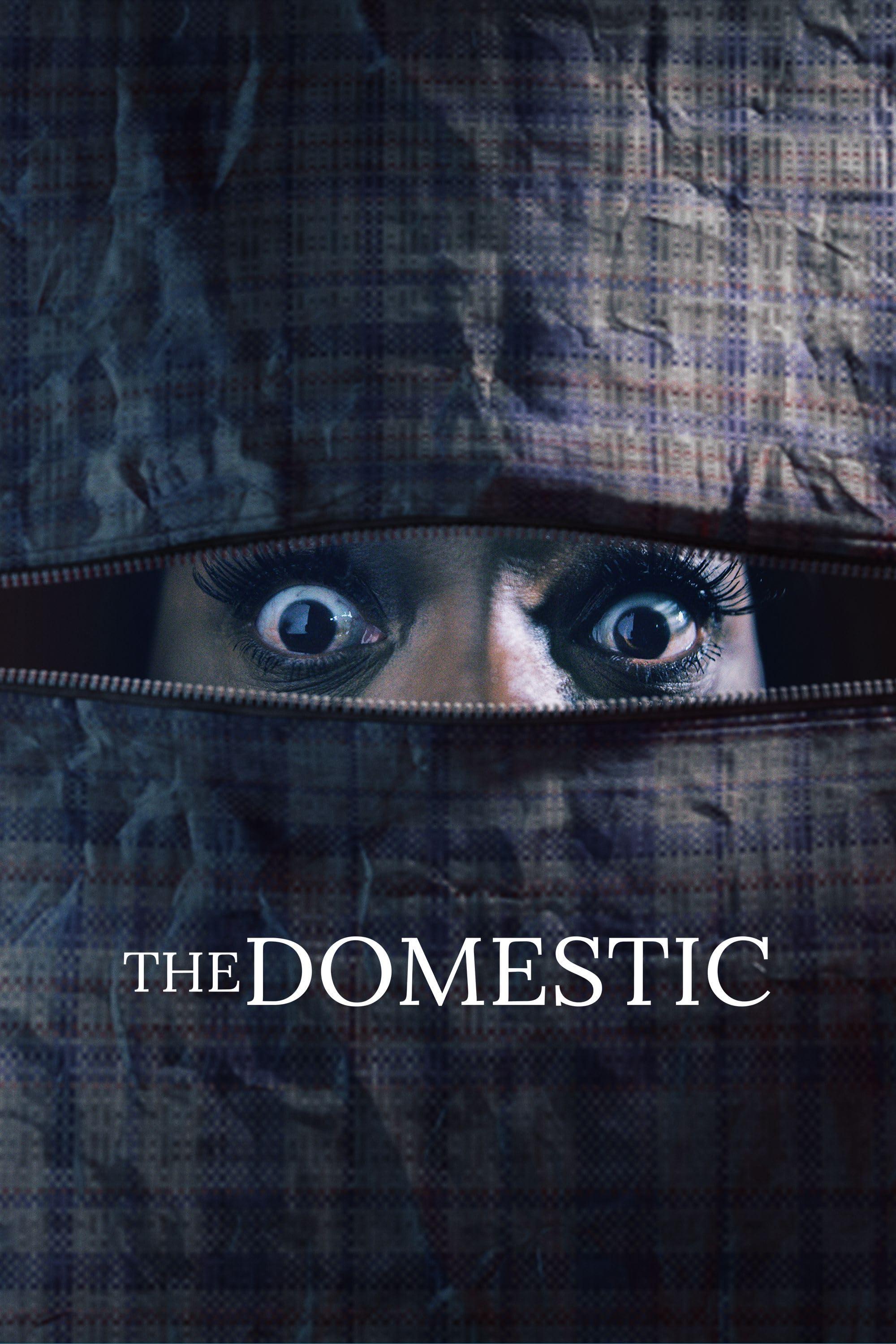 Постер фильма The Domestic