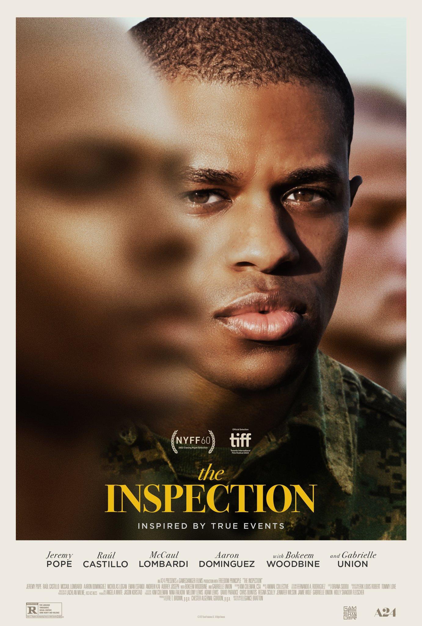 Постер фильма Проверка | The Inspection