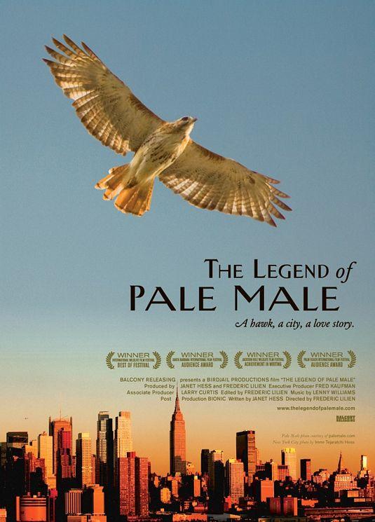 Постер фильма История любви Нью-Йорка | Legend of Pale Male