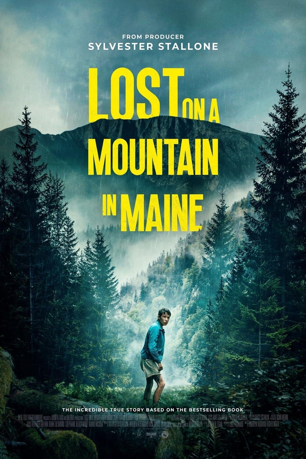 Постер фильма В плену стихии | Lost on a Mountain in Maine