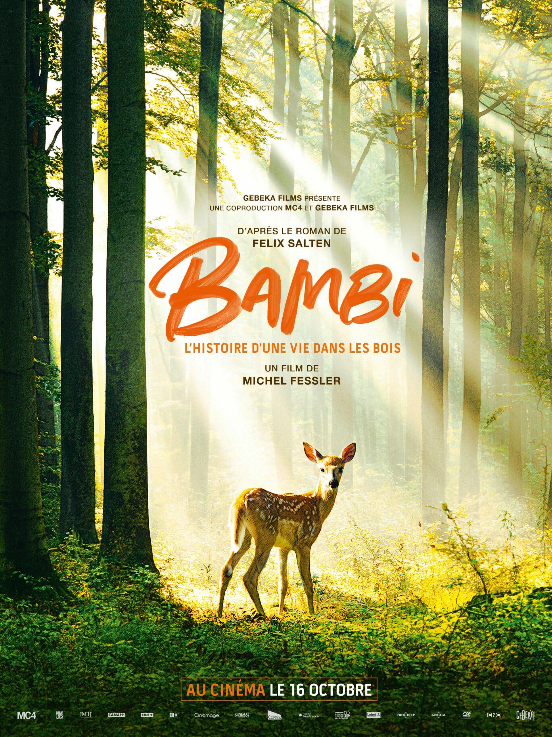 Постер фильма Бемби. История жизни в лесу | Bambi, L'histoire d'une vie dans les bois