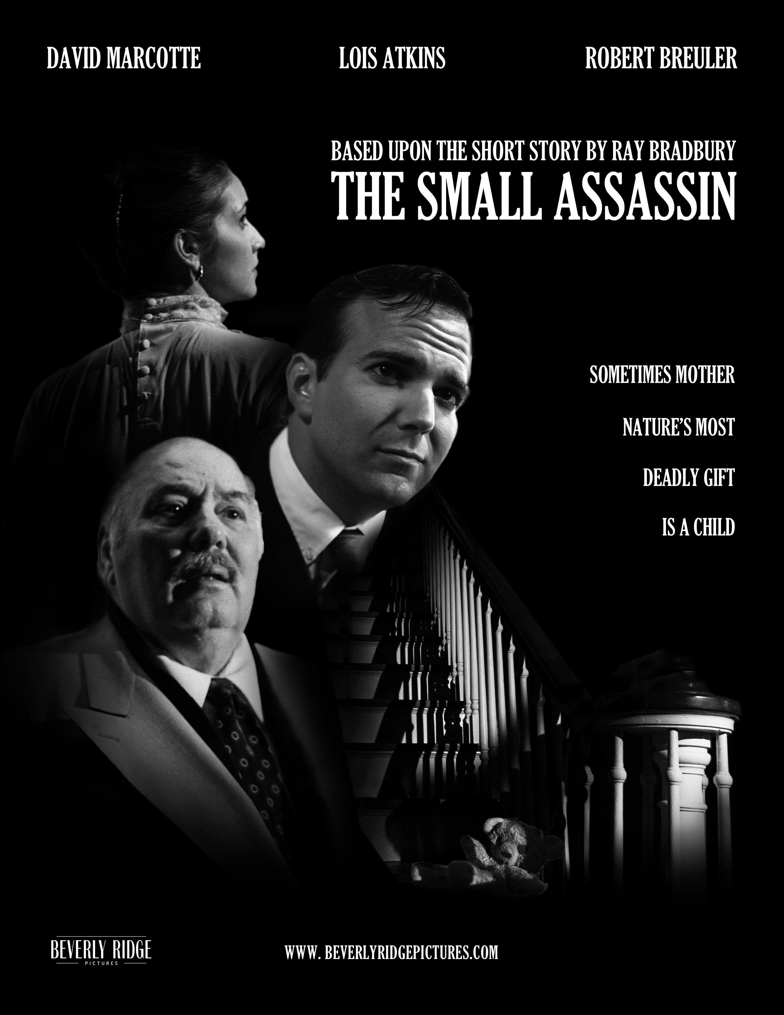 Постер фильма Small Assassin
