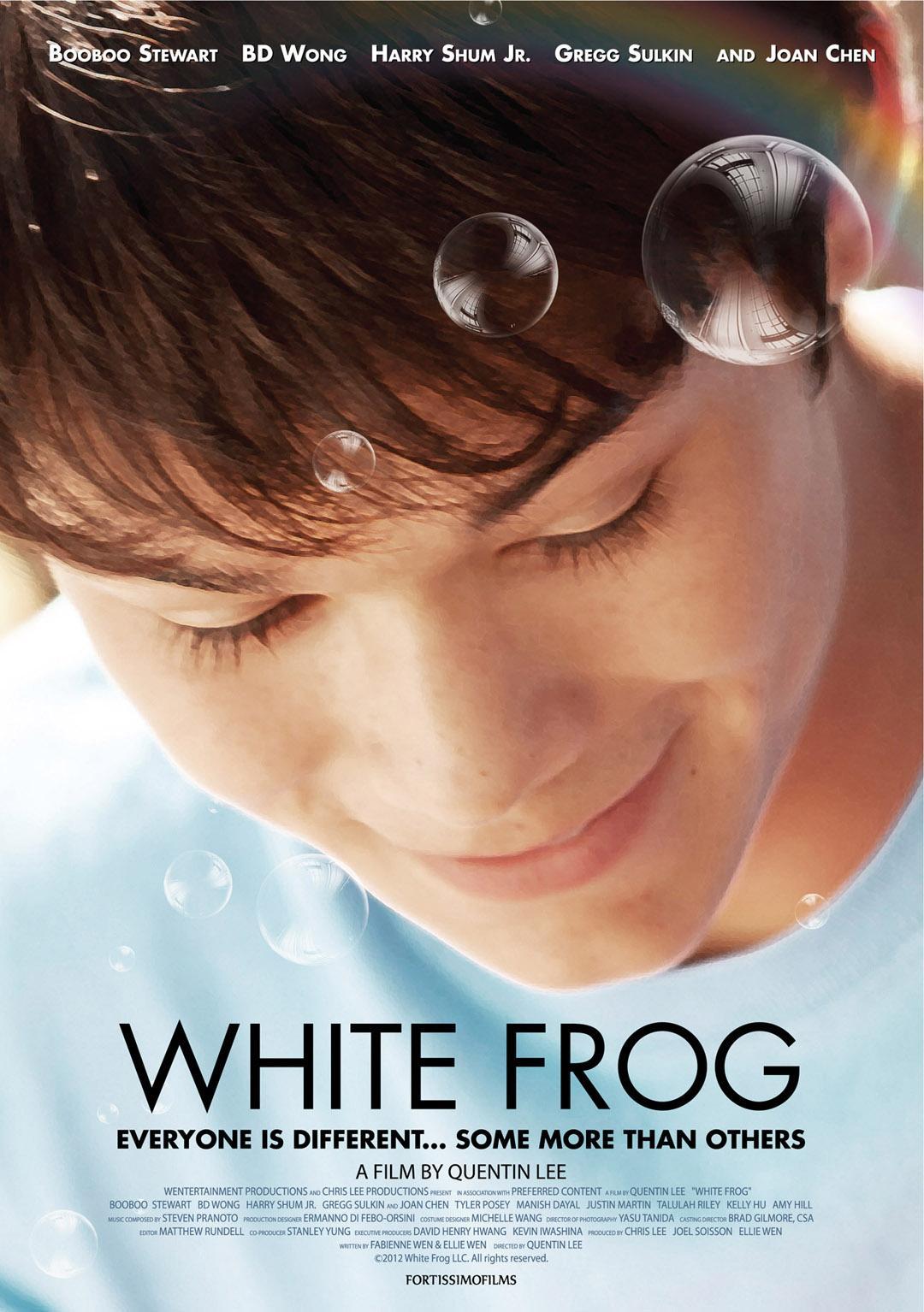 Постер фильма Белая лягушка | White Frog