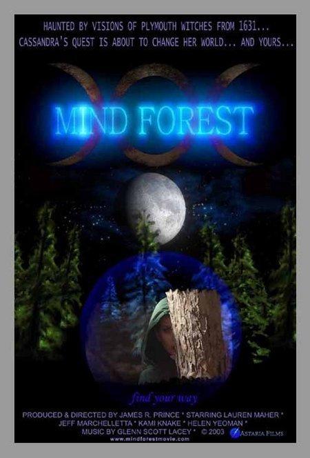 Постер фильма Mind Forest