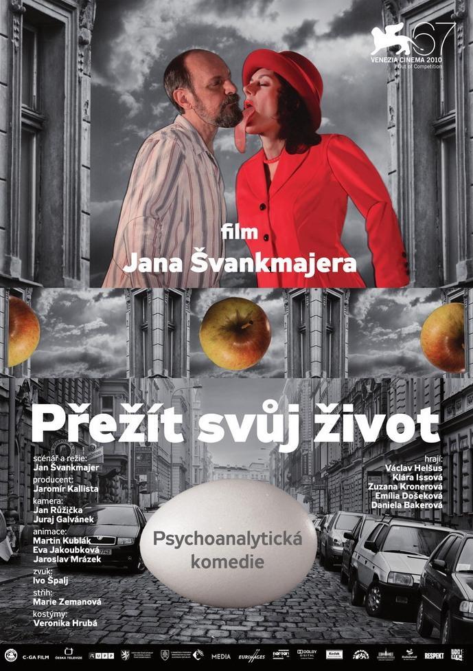 Постер фильма Пережить свою жизнь | Prezít svuj zivot (teorie a praxe)