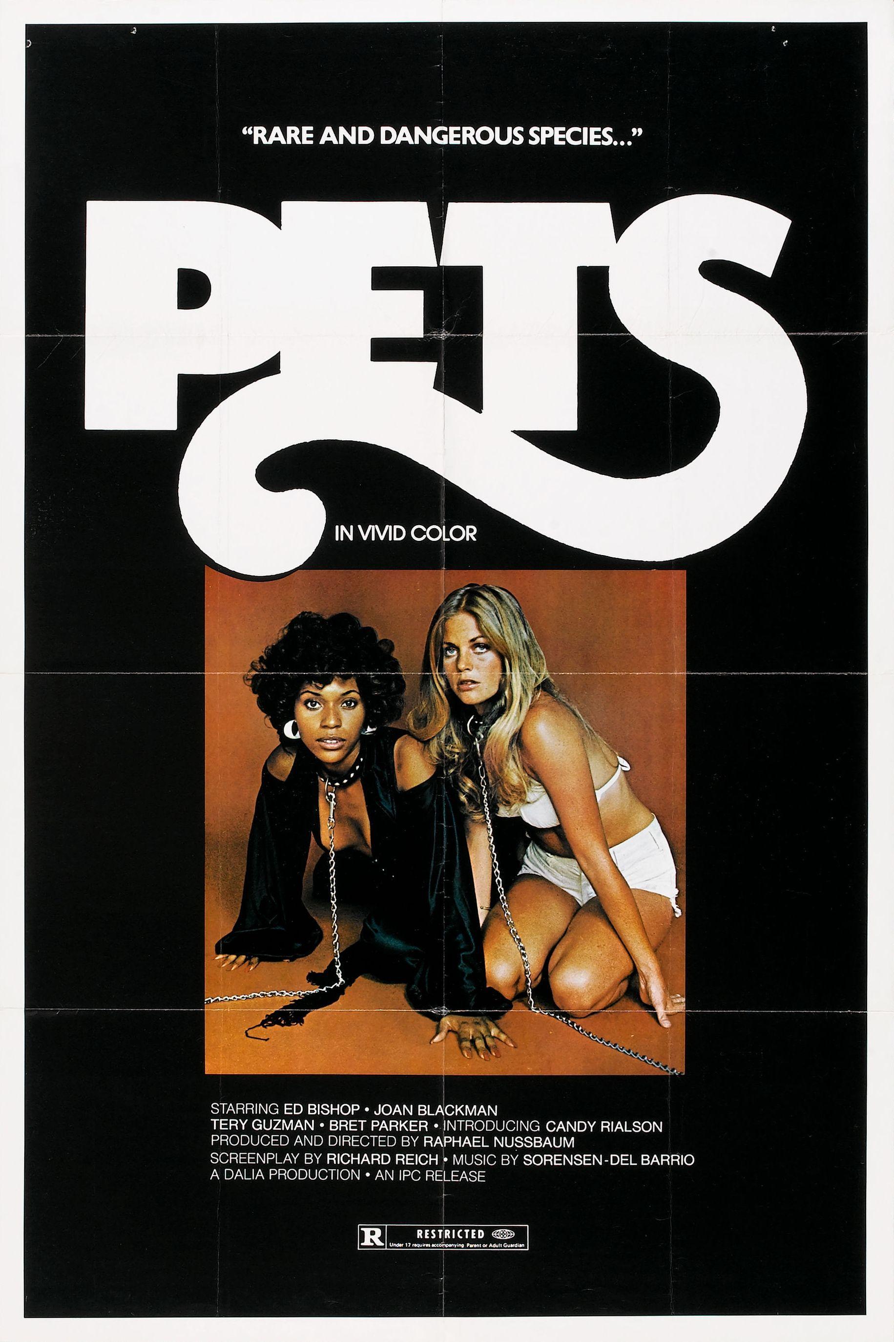 Постер фильма Pets