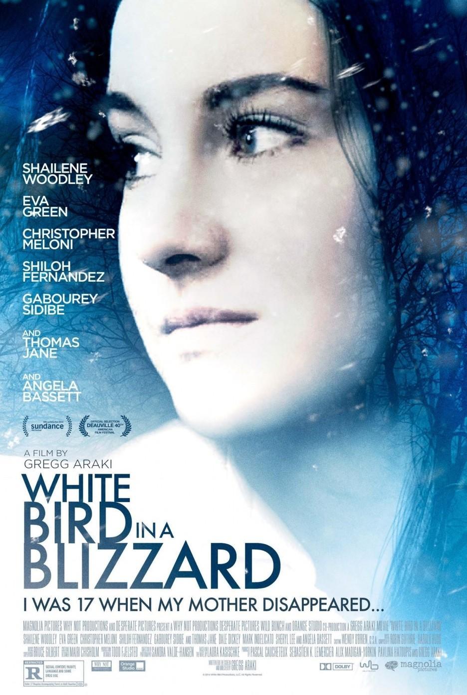 Постер фильма Белая птица в метели | White Bird in a Blizzard