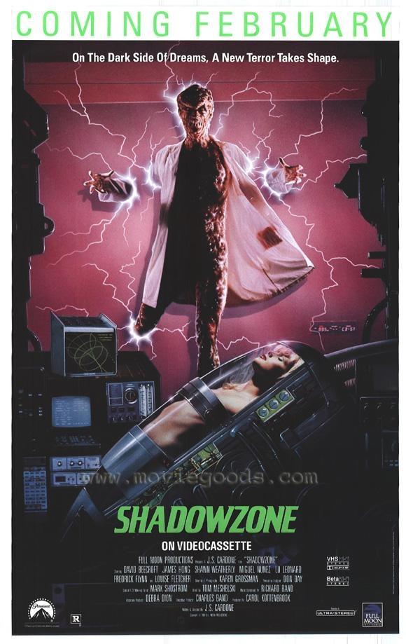 Постер фильма Shadowzone