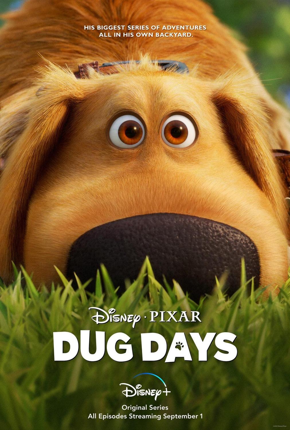 Постер фильма Дни Дага | Dug Days