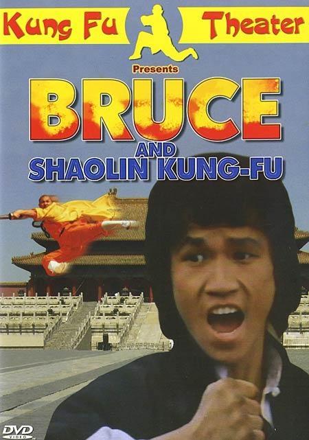 Постер фильма Брюс и кунг-фу монастыря Шао-Линь | Da mo tie zhi gong