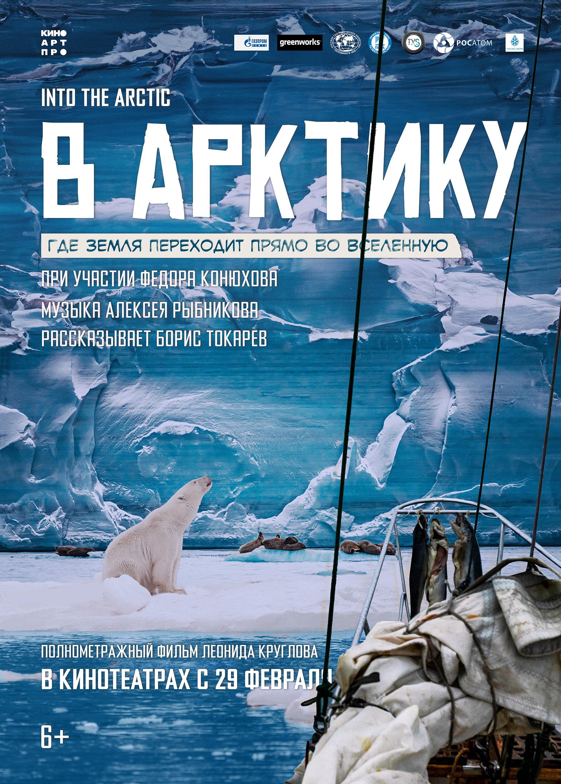 Постер фильма В Арктику