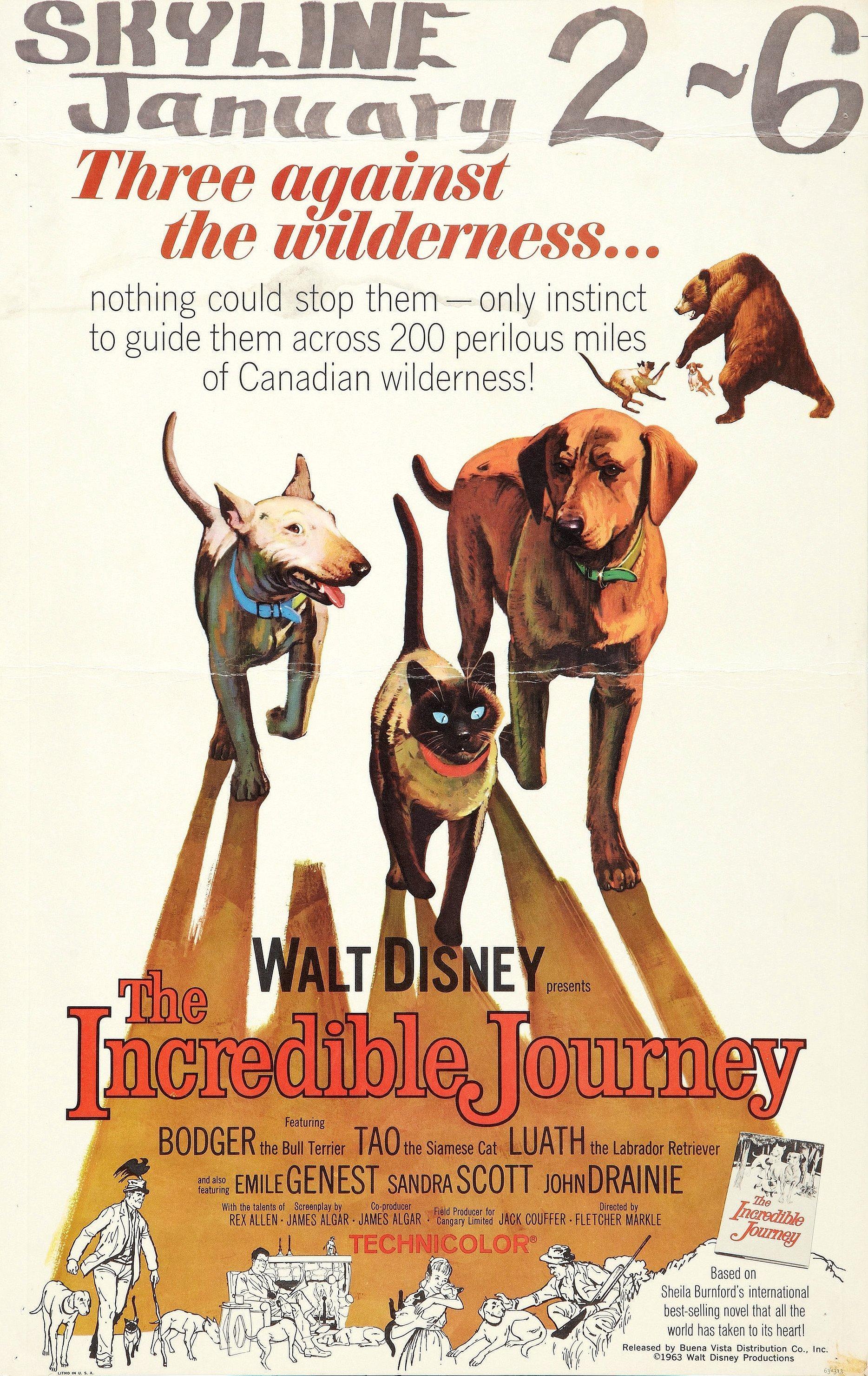 Постер фильма Incredible Journey