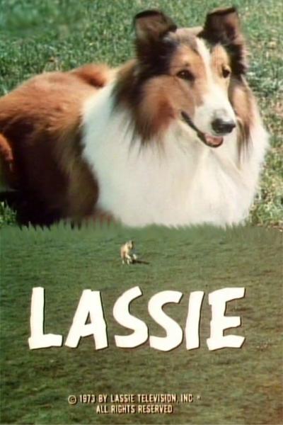 Постер фильма Lassie: The Adventures of Neeka