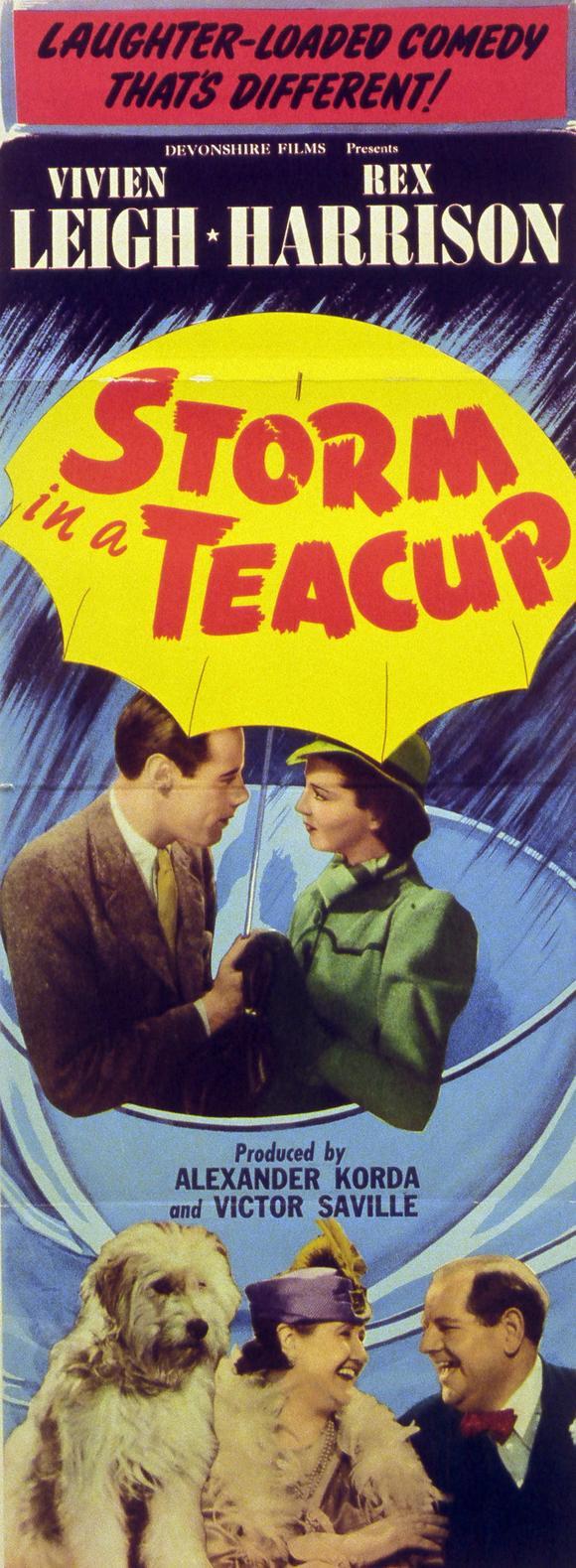 Постер фильма Буря в стакане воды | Storm in a Teacup