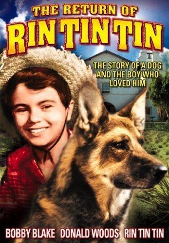 Постер фильма Return of Rin Tin Tin
