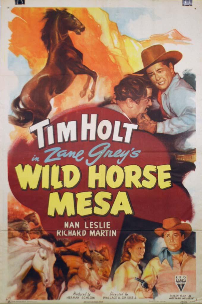 Постер фильма Wild Horse Mesa