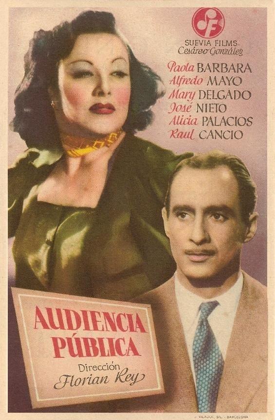 Постер фильма Audiencia pública
