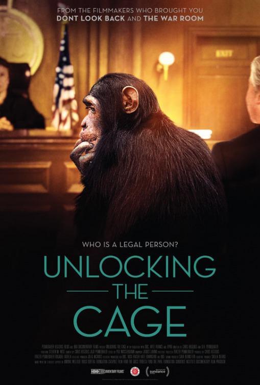 Постер фильма Открывая клетку | Unlocking the Cage