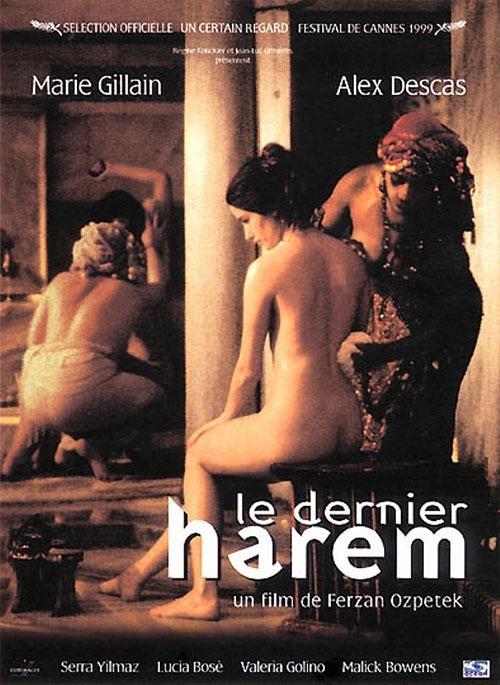 Постер фильма Harem suaré