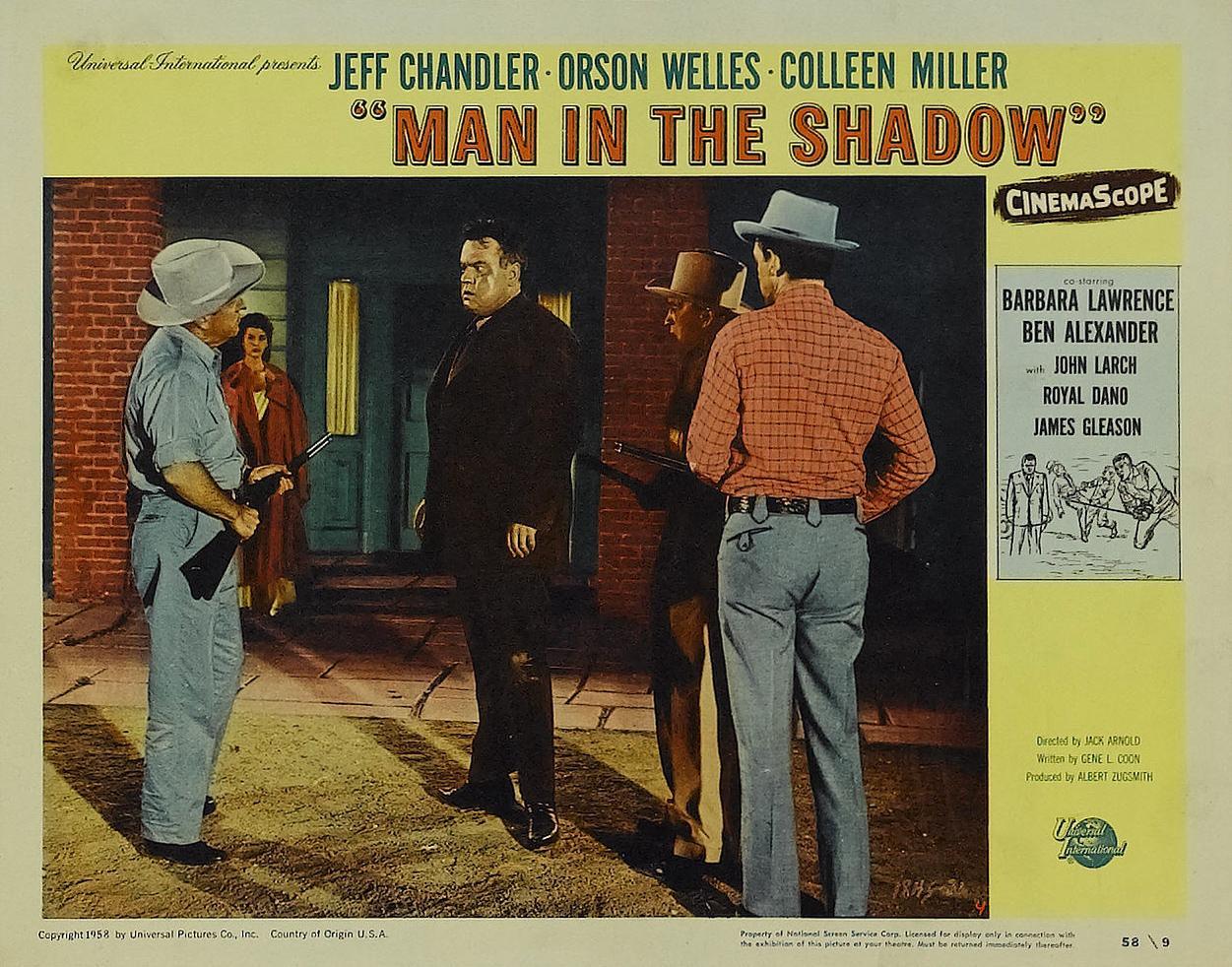 Постер фильма Man in the Shadow
