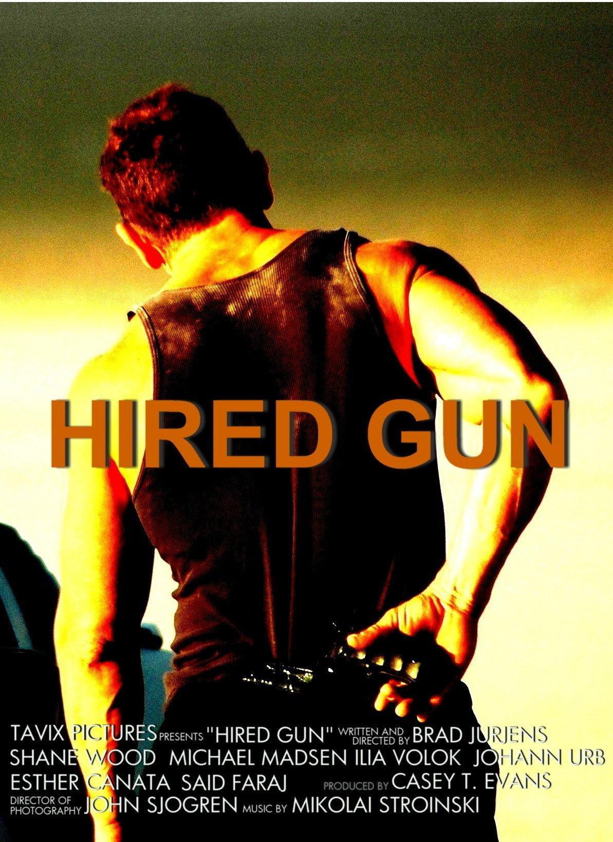 Постер фильма Hired Gun
