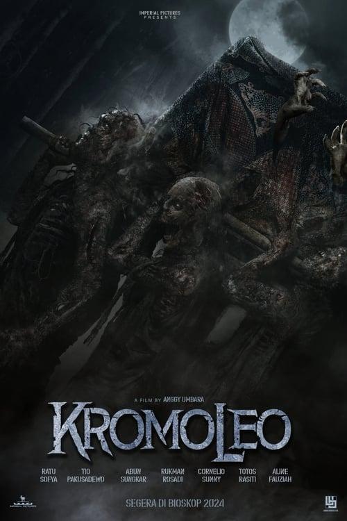 Постер фильма Kromoleo