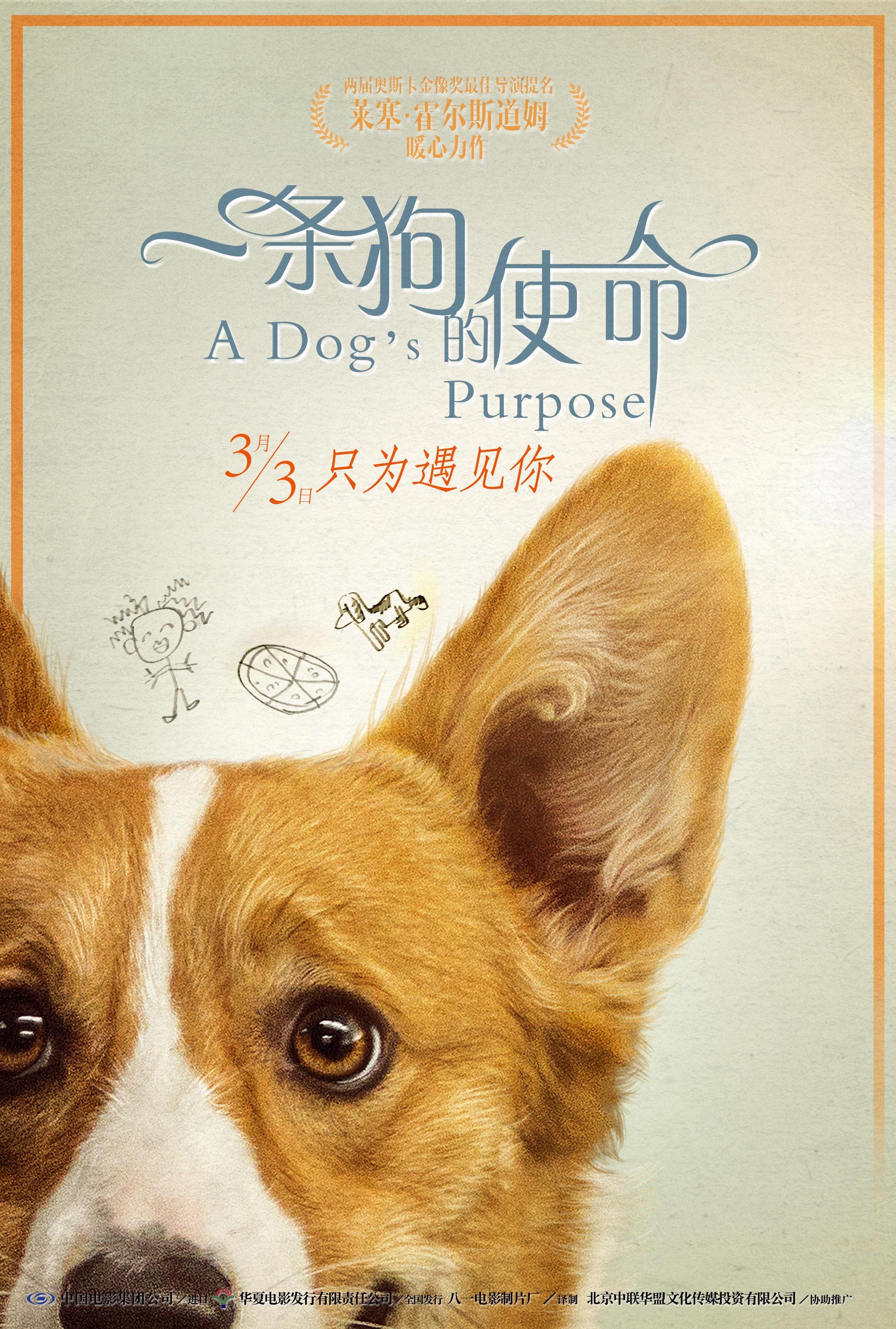 Постер фильма Собачья жизнь | Dog's Purpose