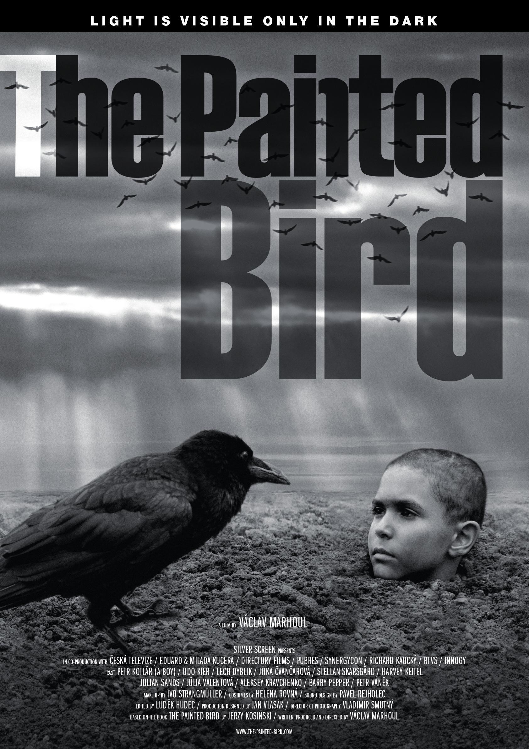 Постер фильма Раскрашенная птица | The Painted Bird
