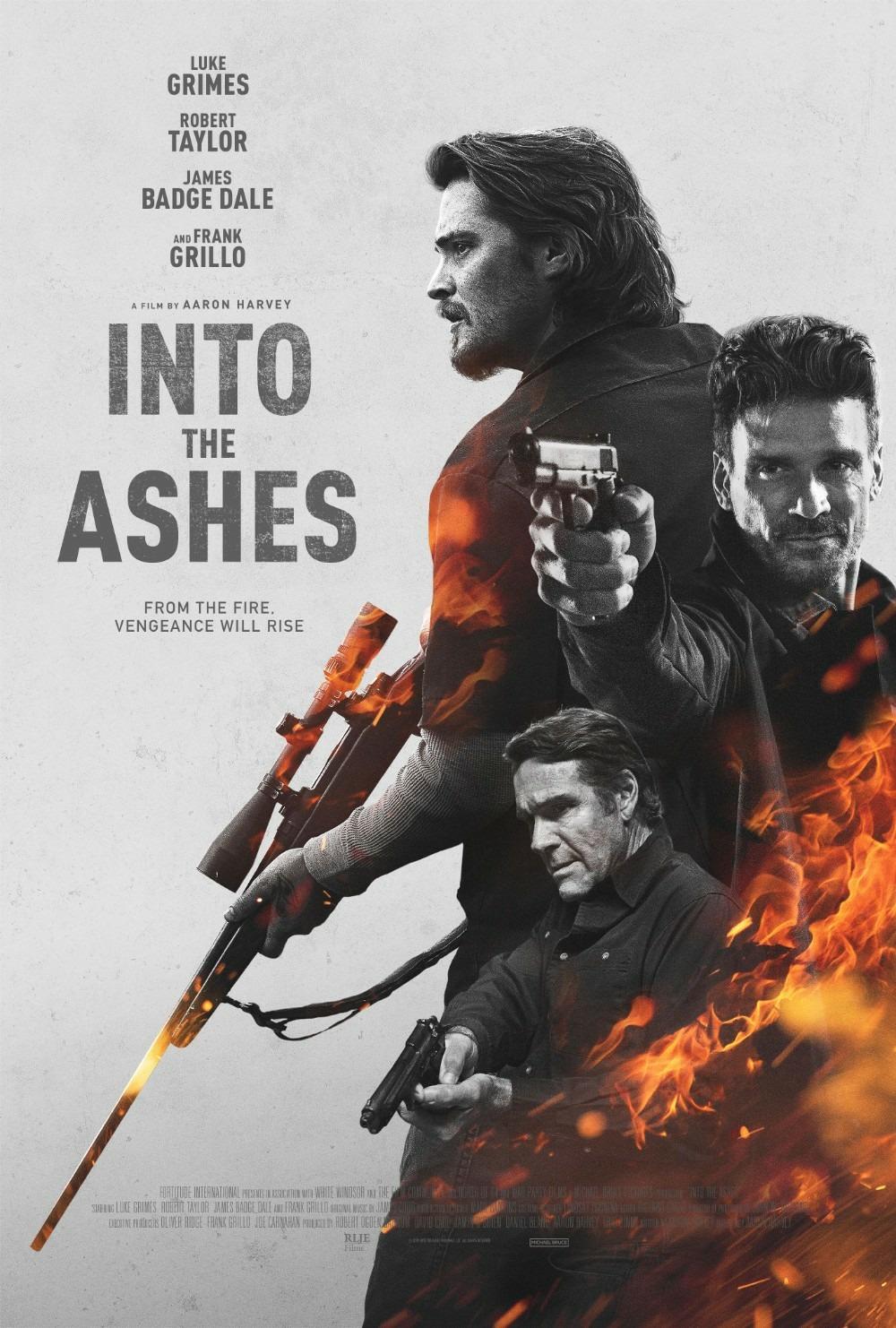 Постер фильма Into the Ashes