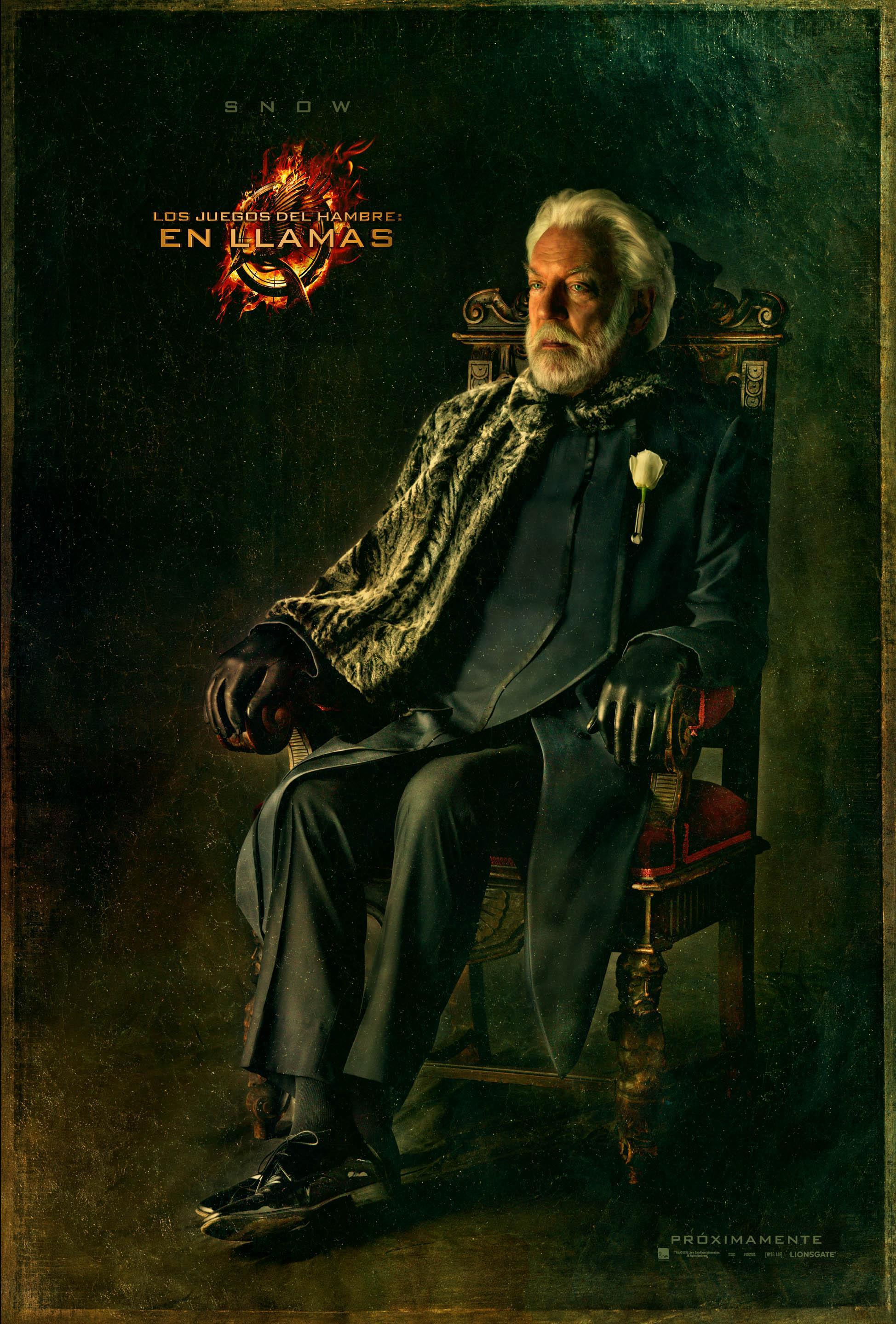 Постер фильма Голодные игры: И вспыхнет пламя | Hunger Games: Catching Fire