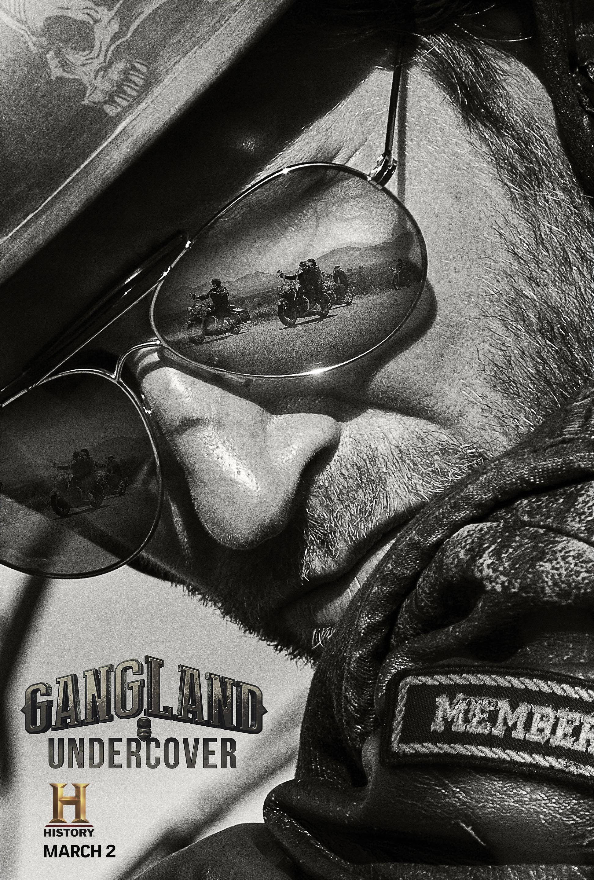 Постер фильма Под прикрытием | Gangland Undercover
