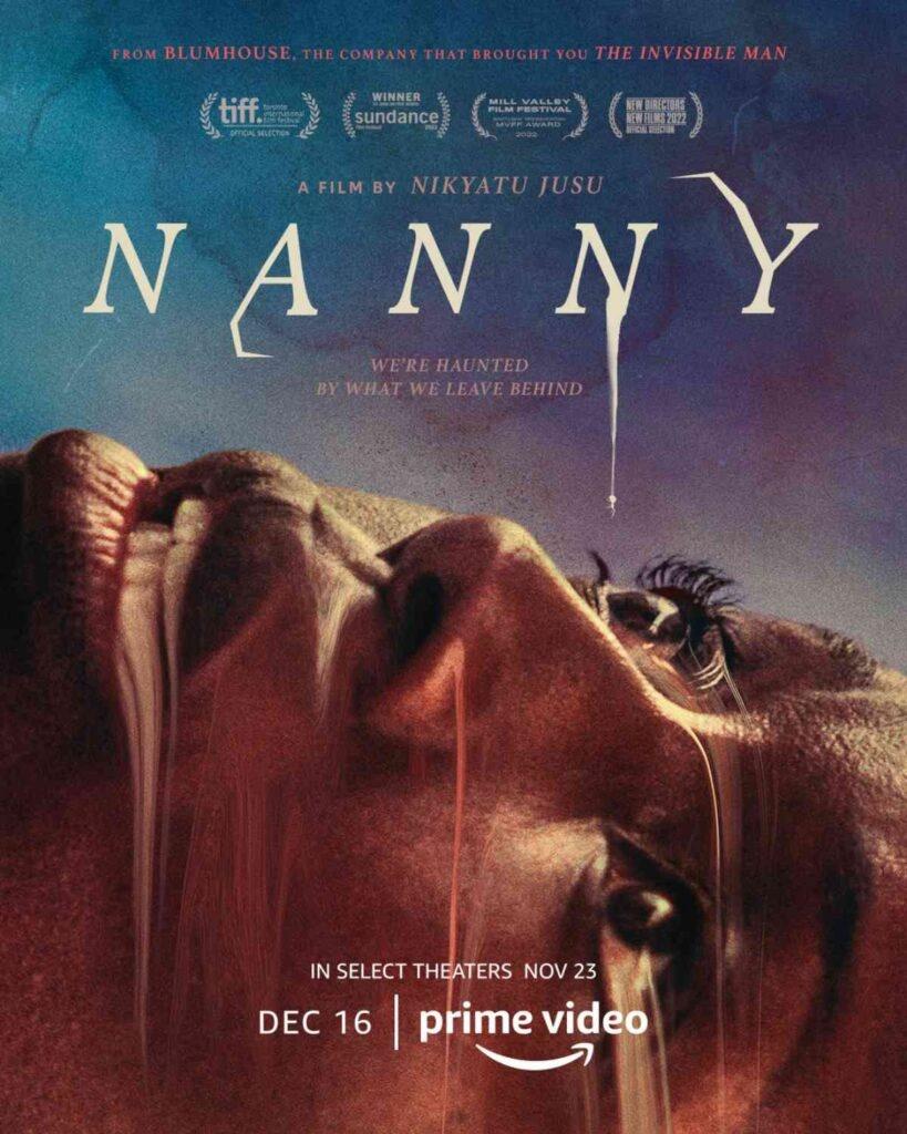 Постер фильма Няня | Nanny