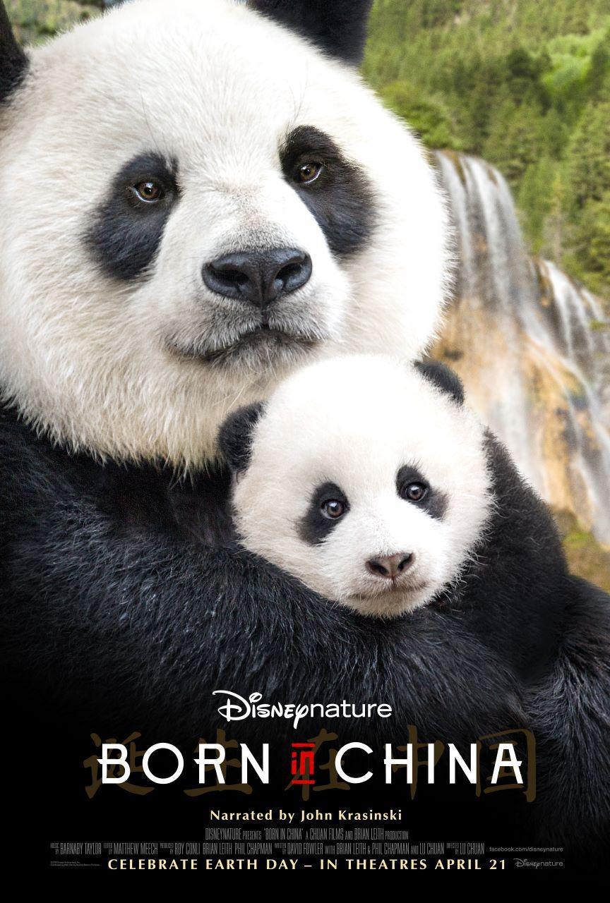 Постер фильма Рождённый в Китае | Born in China 
