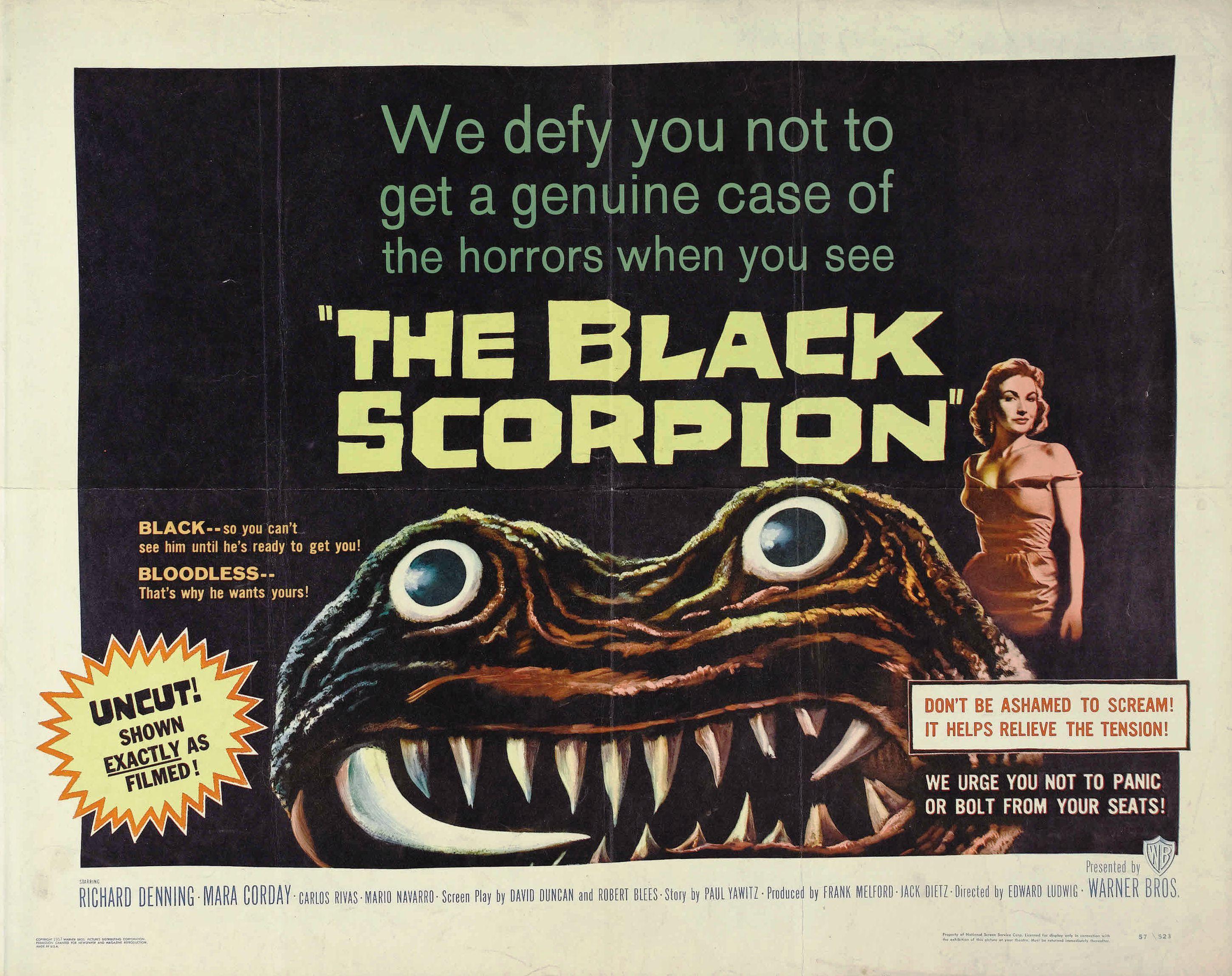 Постер фильма Черный скорпион | Black Scorpion