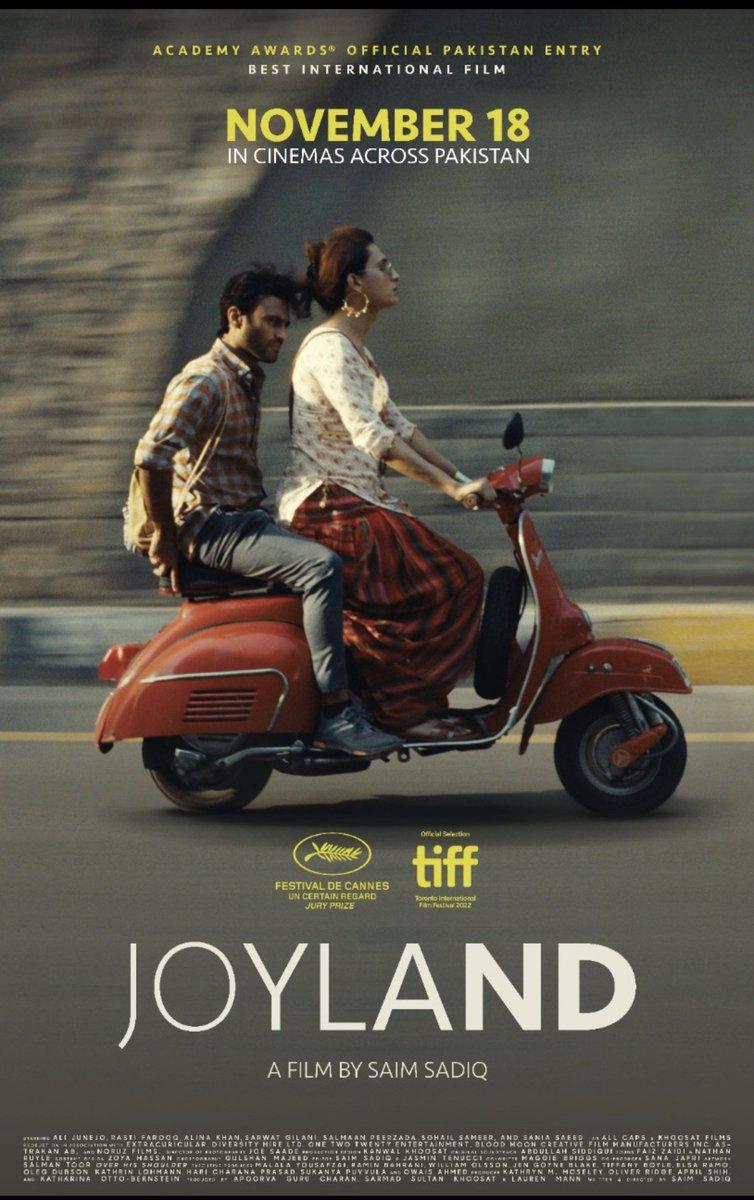 Постер фильма Страна радости | Joyland