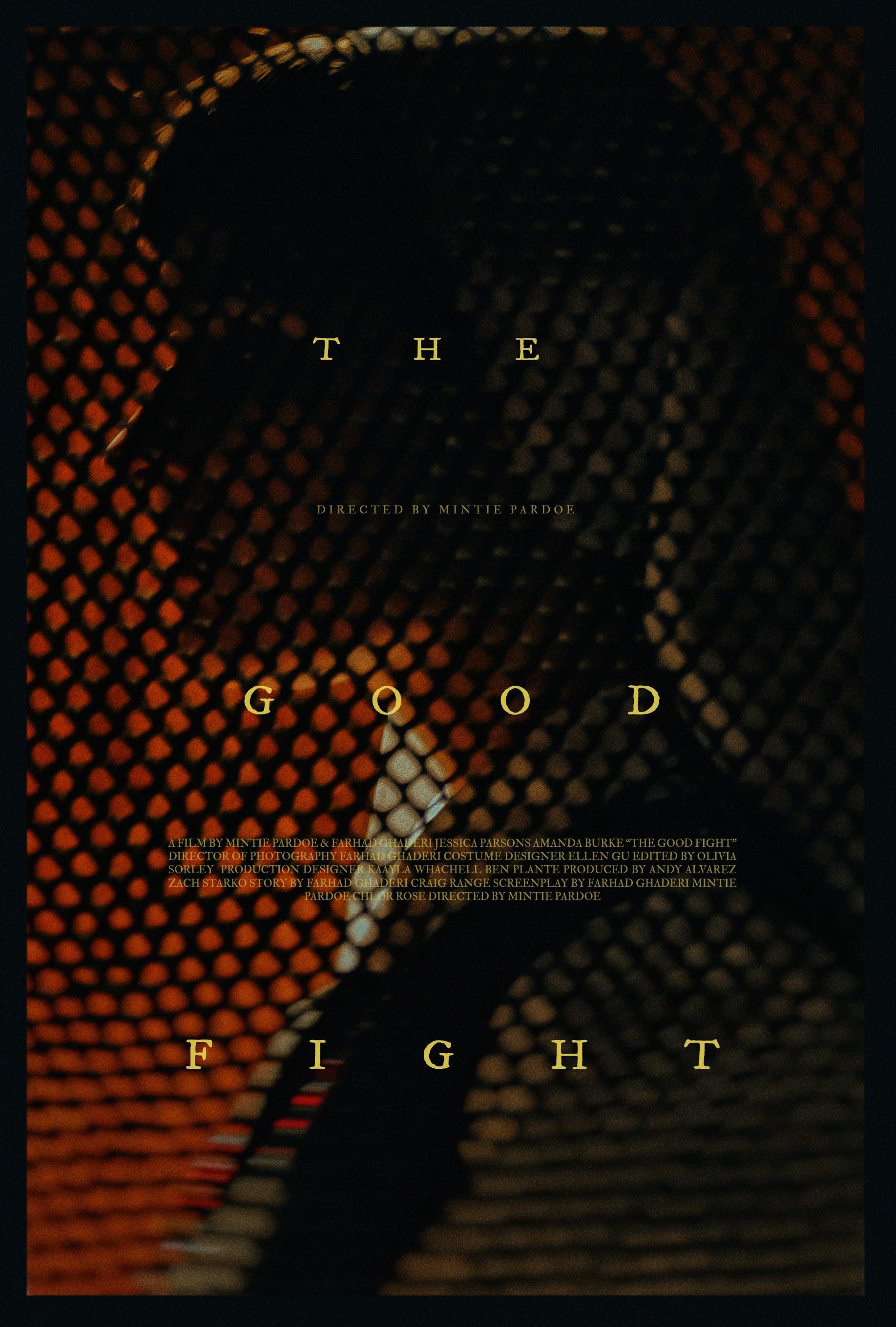 Постер фильма The Good Fight 