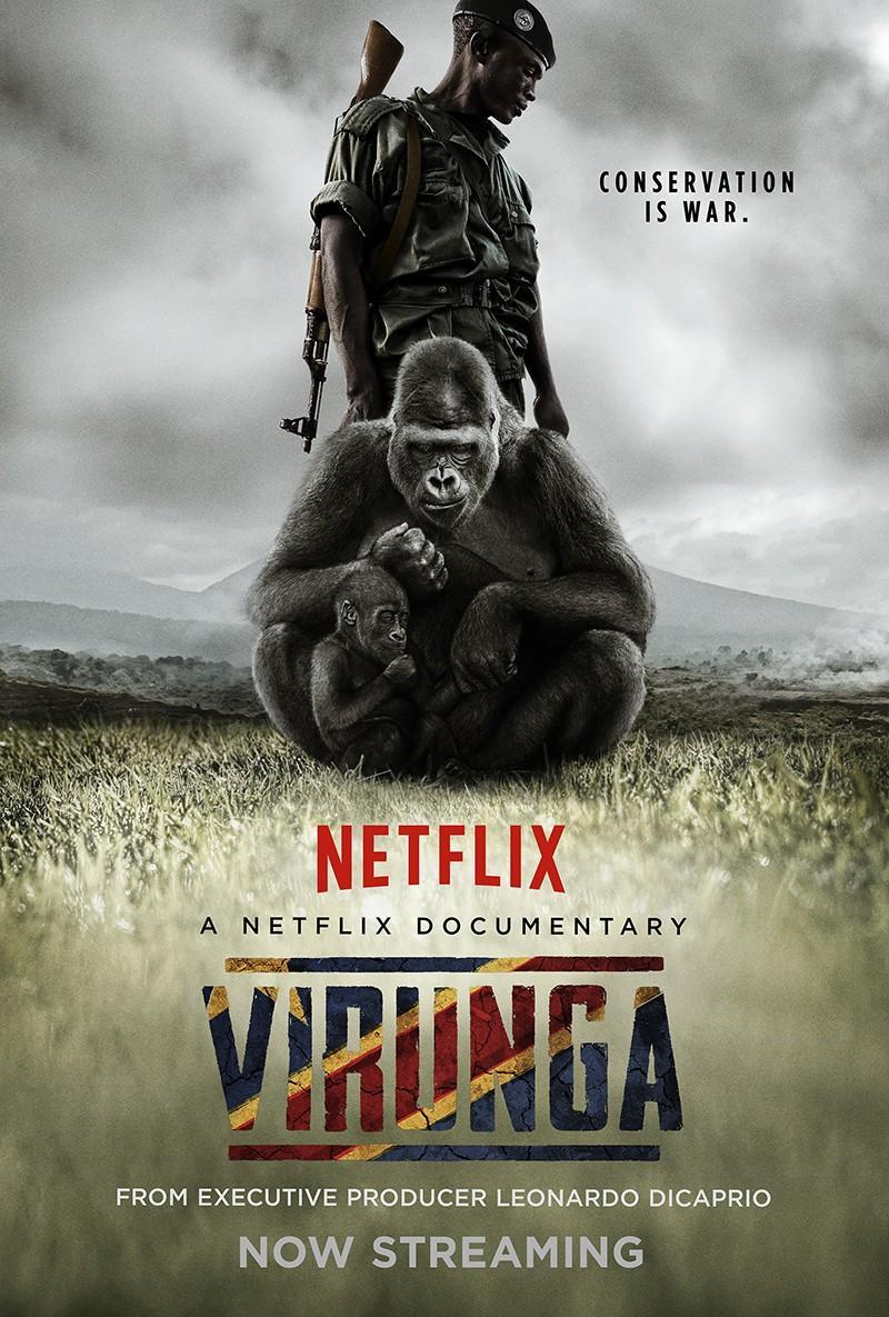 Постер фильма Вирунга | Virunga