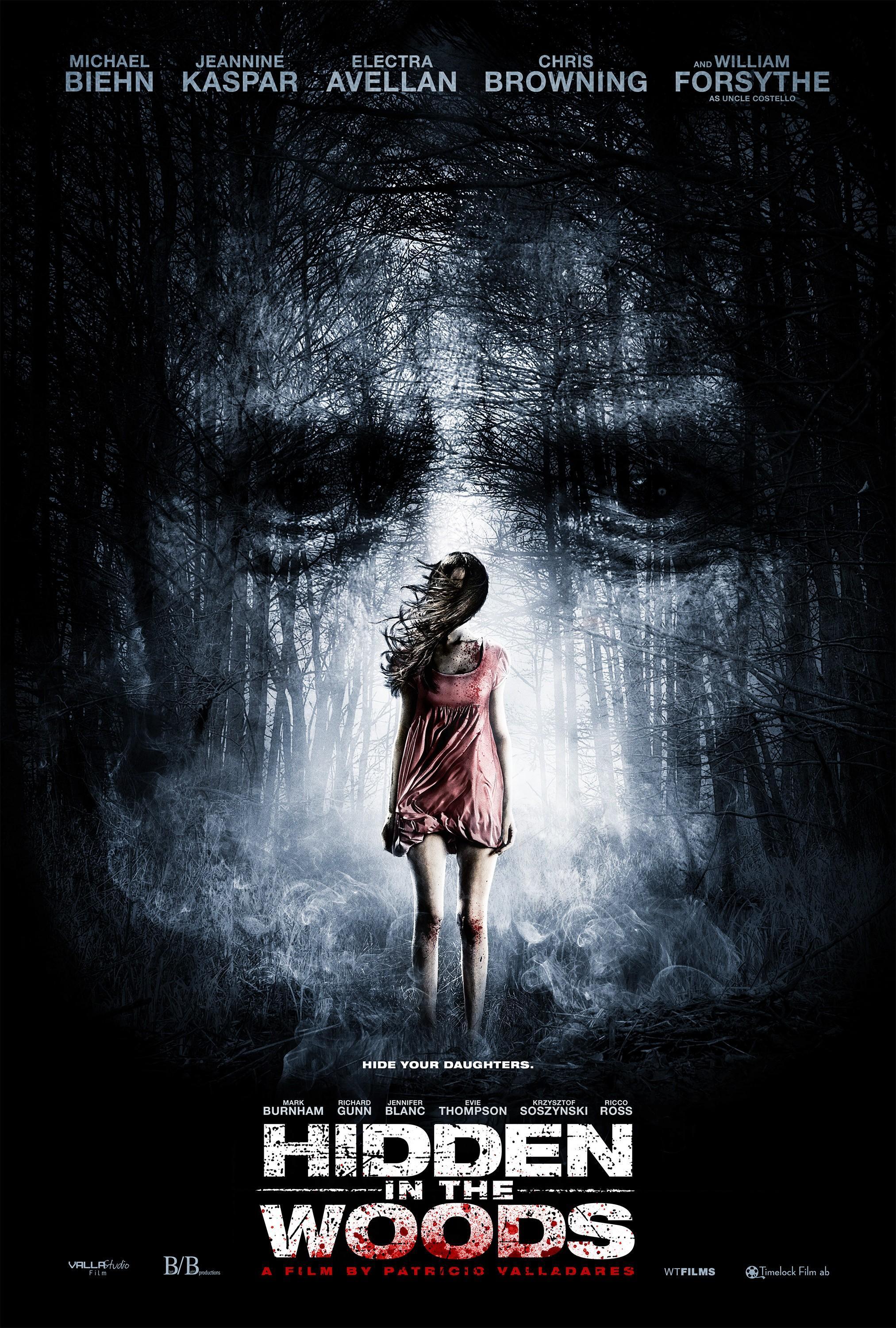 Постер фильма Спрятанный в лесу | Hidden in the Woods