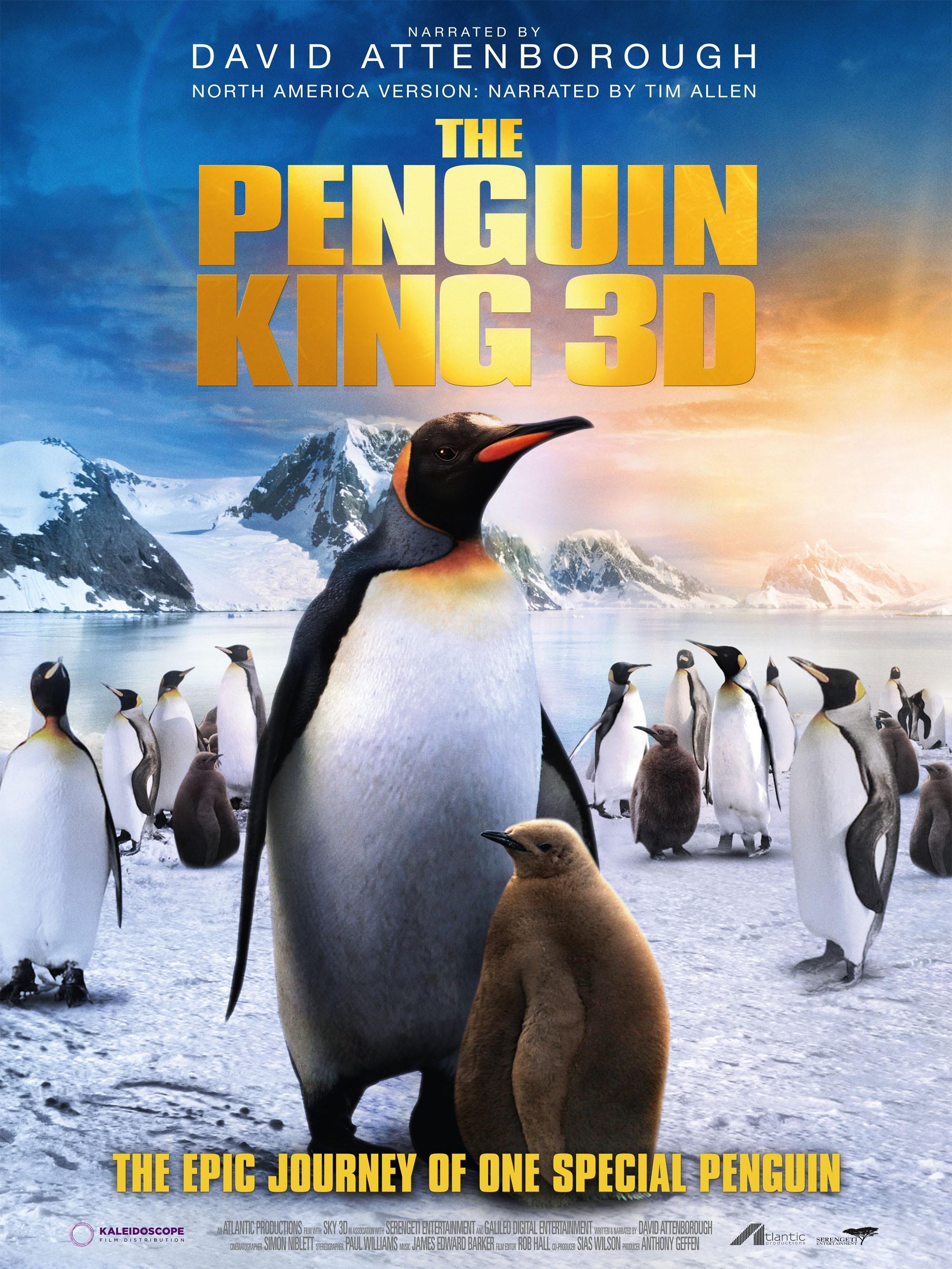 Постер фильма Король пингвинов | Penguin King 3D