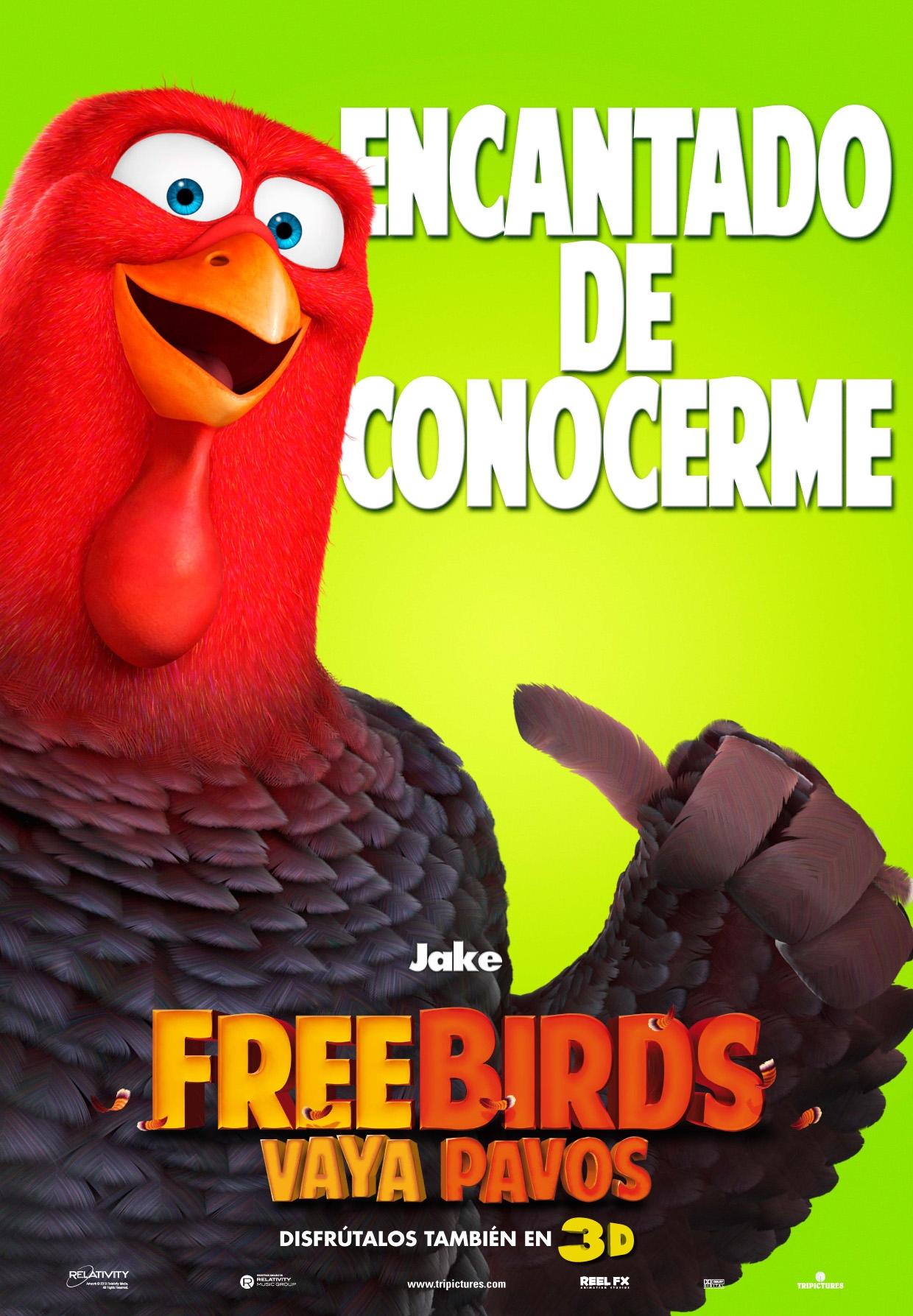 Постер фильма Индюки: назад в будущее 3D | Free Birds