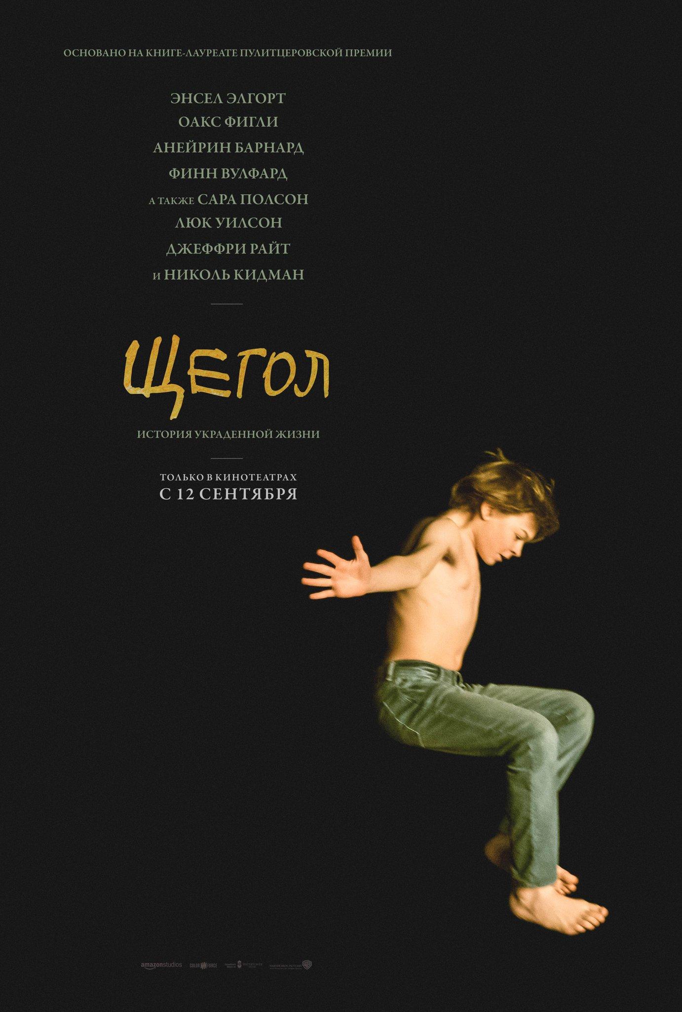 Постер фильма Щегол | The Goldfinch 