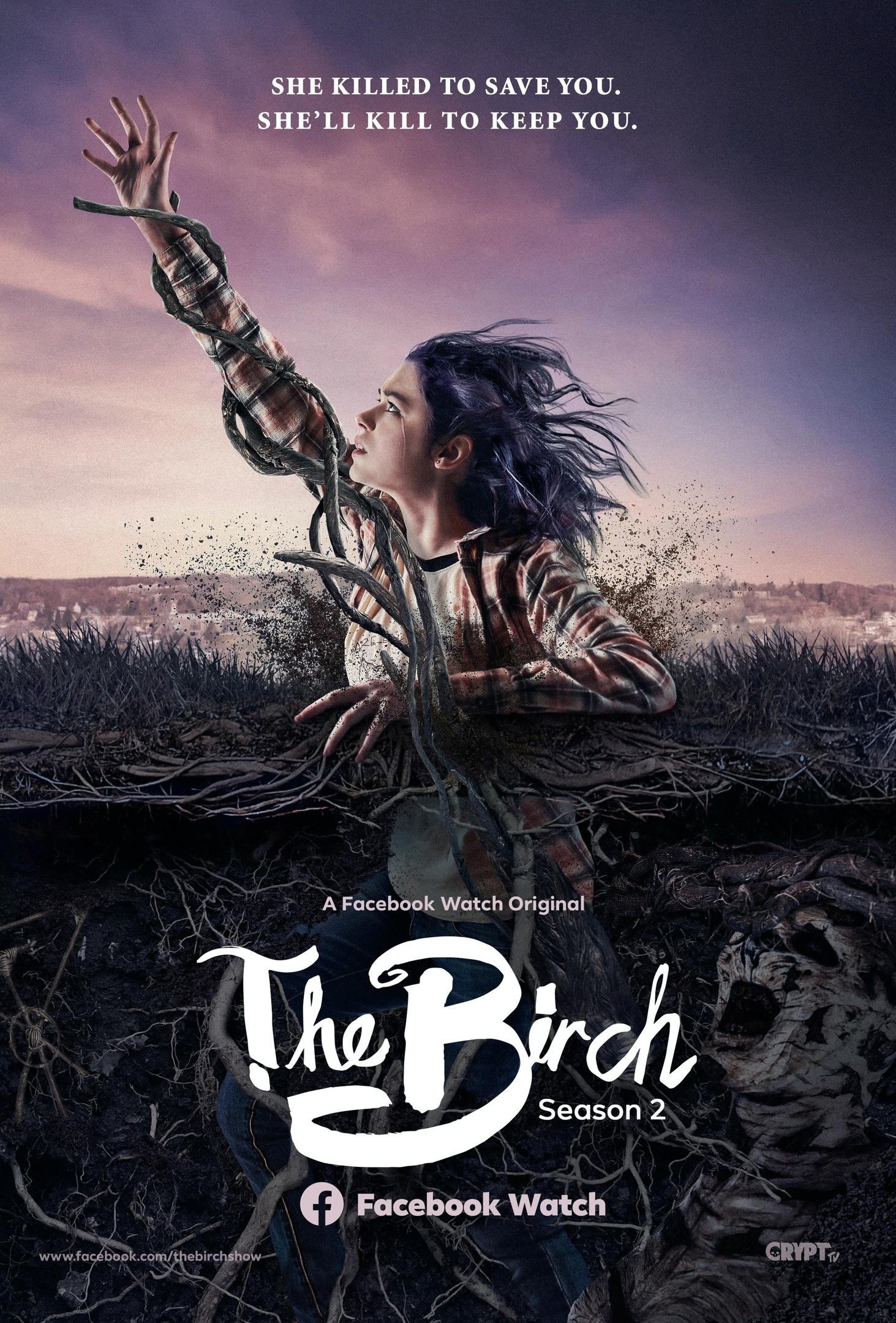 Постер фильма Береза | The Birch
