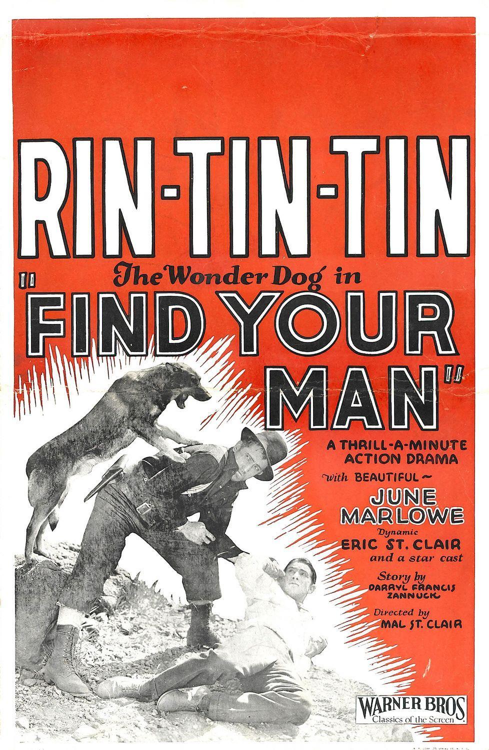 Постер фильма Find Your Man
